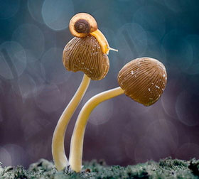 免费ddos在线攻击